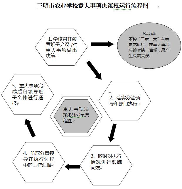 半岛(中国)重大事项决策权运行流程图.JPG